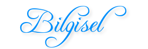 Bilgisel