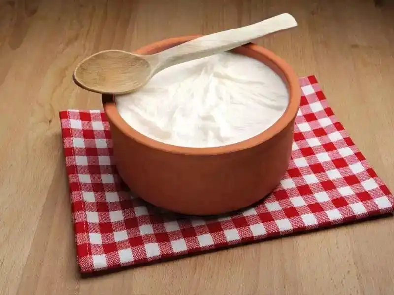 Yogurt